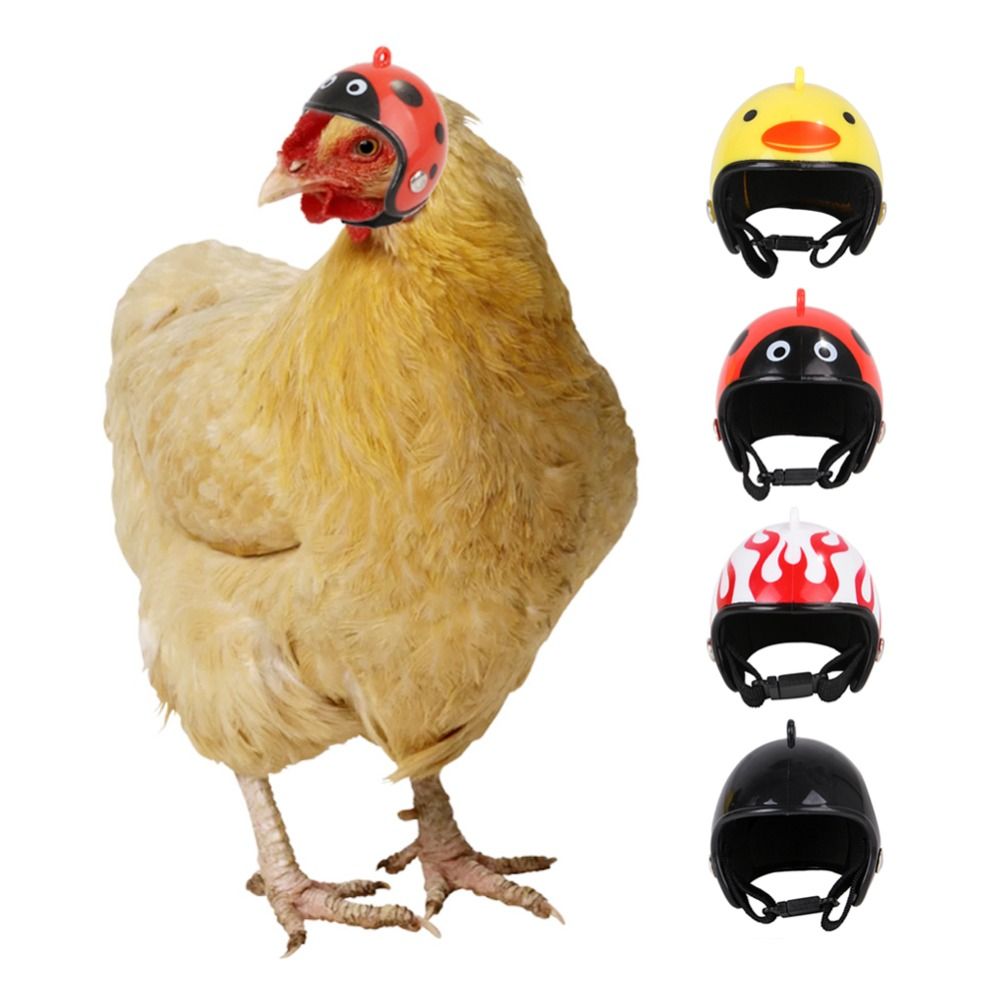 Pet X Supplies & Tack Reviews - Capacete Protetor Divertido para Animais de
