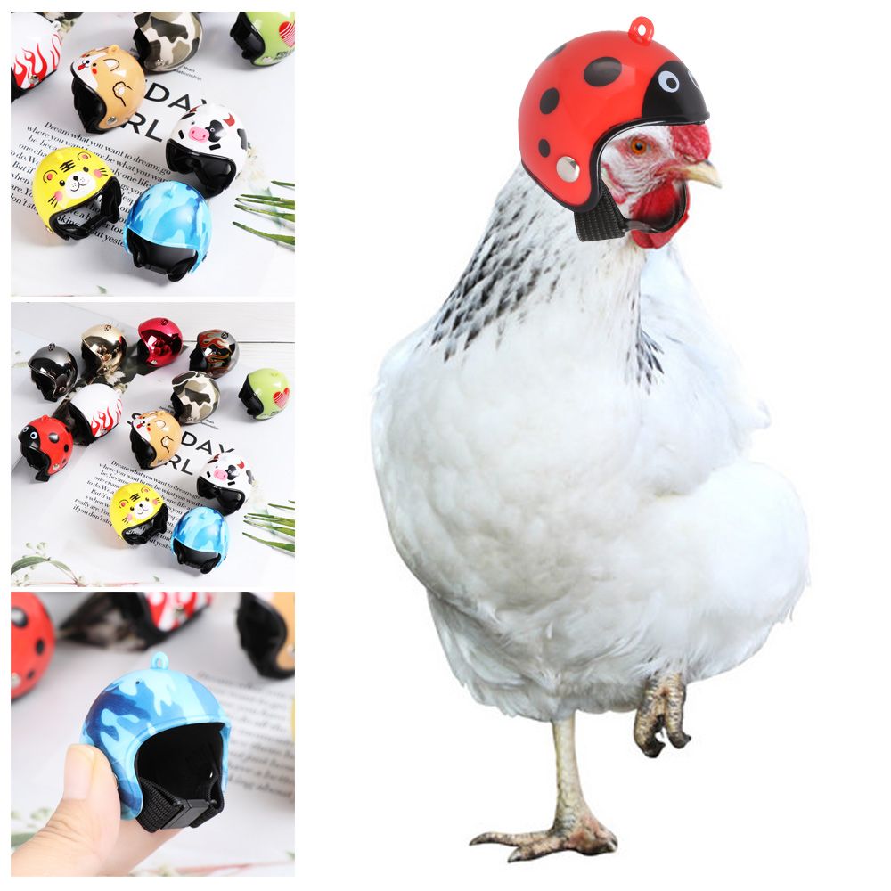 Pet X Supplies & Tack Reviews - Capacete Protetor Engraçado para Animais de