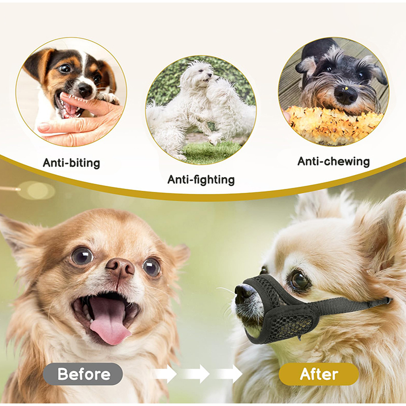 Focinheira de Malha para Cães  - Pet Supplies Hours avaliação e preço