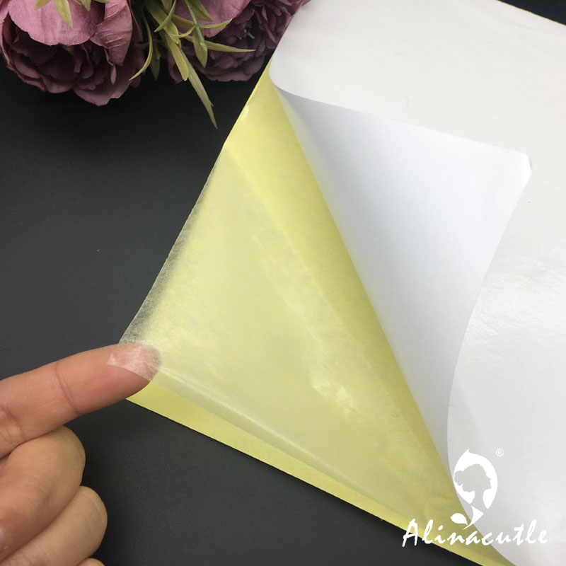 Fita Dupla Face Transparente,  - Pet X Supplies & Tack Reviews avaliação e preço