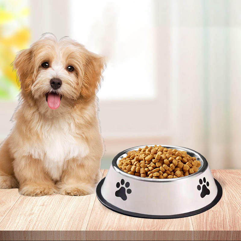 Tigela de Aço Inoxidável para  - Pet Supplies Hours avaliação e preço