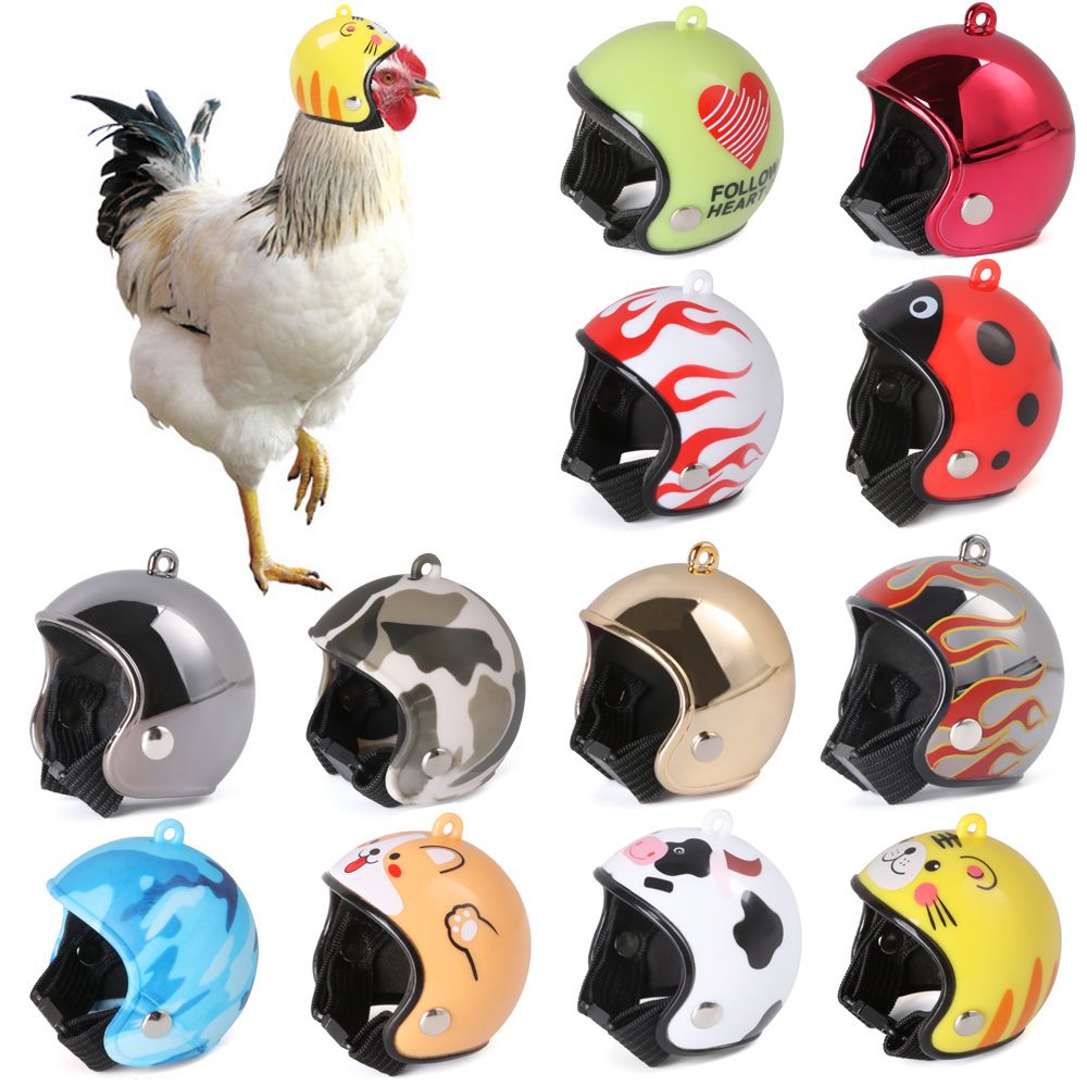 Capacete Protetor Divertido pa - Pet X Supplies & Tack Reviews avaliação e preço
